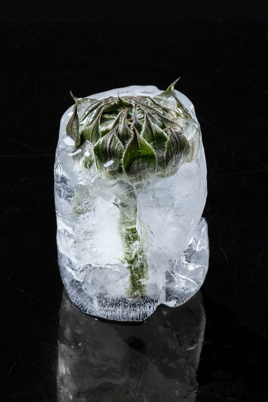 Iced flower