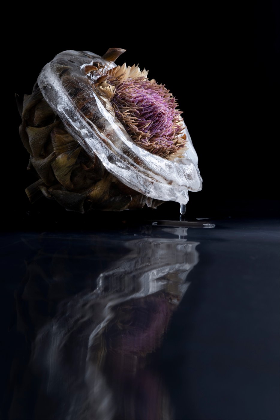 Artichoke in ice