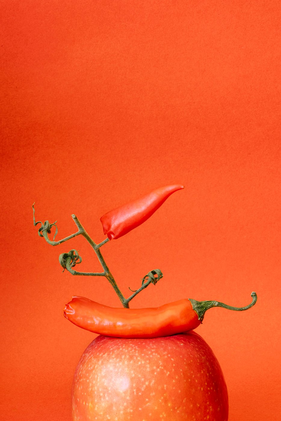 Chilli on tomato